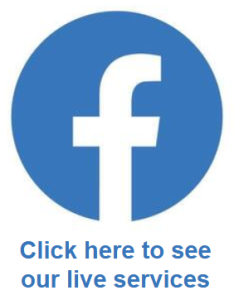 blue, facebook, live, icon